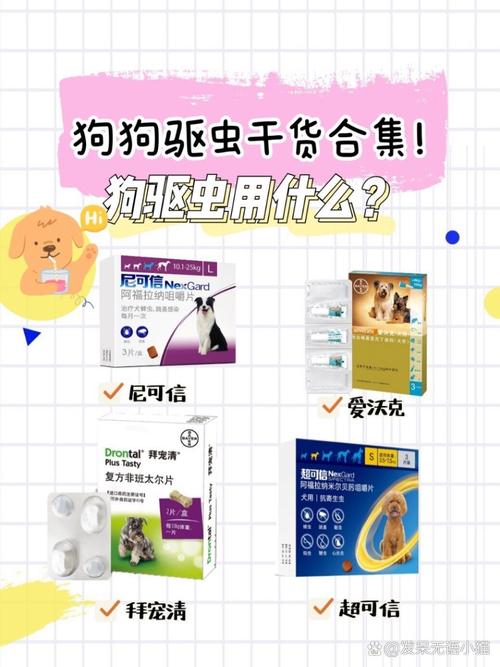 狗狗能吃人的驱虫药吗,狗可以吃人用的驱虫药?-第2张图片-后鲨宠物 狗狗能吃人的驱虫药吗,狗可以吃人用的驱虫药?-第2张图片-后鲨宠物