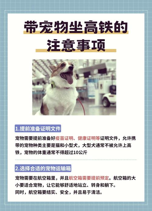 狗狗能上动车吗,狗狗能上动车吗最近?-第4张图片-后鲨宠物 狗狗能上动车吗,狗狗能上动车吗最近?-第4张图片-后鲨宠物