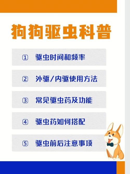 狗狗驱虫一次多少钱,狗狗驱虫一次多少钱体外?-第3张图片-后鲨宠物 狗狗驱虫一次多少钱,狗狗驱虫一次多少钱体外?-第3张图片-后鲨宠物
