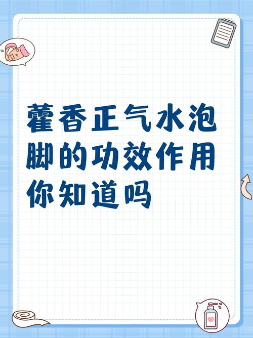猫咪能喝藿香正气水吗,猫可以喝霍香正气液吗?-第1张图片-后鲨宠物 猫咪能喝藿香正气水吗,猫可以喝霍香正气液吗?-第1张图片-后鲨宠物