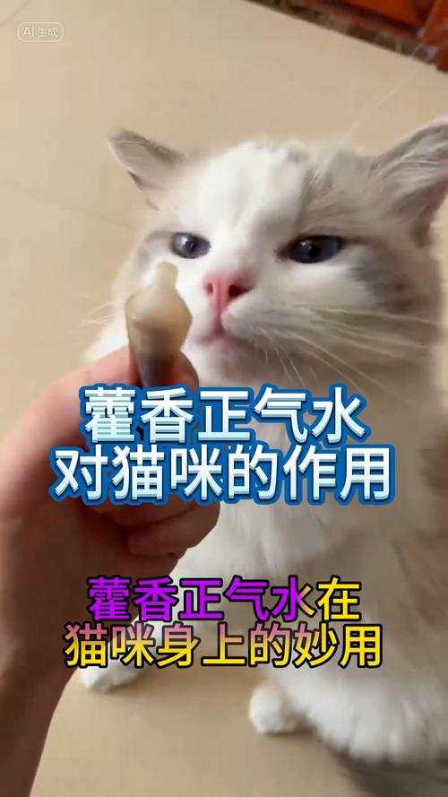 猫咪能喝藿香正气水吗,猫可以喝霍香正气液吗?-第4张图片-后鲨宠物 猫咪能喝藿香正气水吗,猫可以喝霍香正气液吗?-第4张图片-后鲨宠物