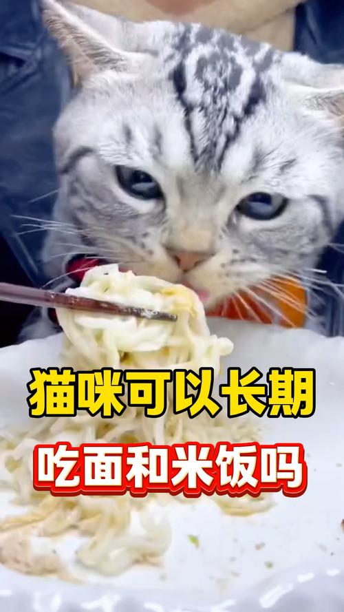 猫咪可以吃面条吗,猫最爱吃的20种食物?-第4张图片-后鲨宠物 猫咪可以吃面条吗,猫最爱吃的20种食物?-第4张图片-后鲨宠物