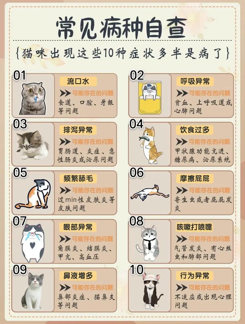 猫咪吃撑了的症状,猫咪吃撑了怎么办?-第2张图片-后鲨宠物 猫咪吃撑了的症状,猫咪吃撑了怎么办?-第2张图片-后鲨宠物