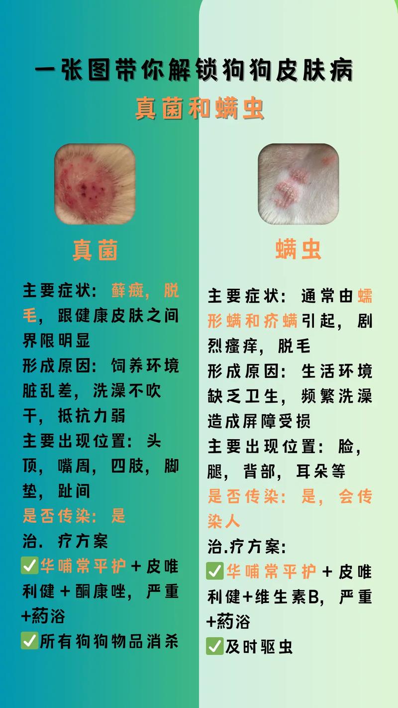 狗狗螨虫皮肤病怎么治_狗狗得了螨虫皮肤病用什么药好-第3张图片-后鲨宠物 狗狗螨虫皮肤病怎么治_狗狗得了螨虫皮肤病用什么药好-第3张图片-后鲨宠物