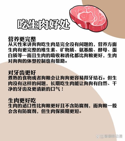 狗狗能吃生肉吗,狗狗能吃生肉好吗?-第4张图片-后鲨宠物 狗狗能吃生肉吗,狗狗能吃生肉好吗?-第4张图片-后鲨宠物
