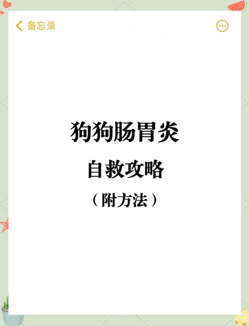 狗狗肠胃炎在家怎么治,狗狗肠胃炎最快的治疗方法?-第1张图片-后鲨宠物 狗狗肠胃炎在家怎么治,狗狗肠胃炎最快的治疗方法?-第1张图片-后鲨宠物