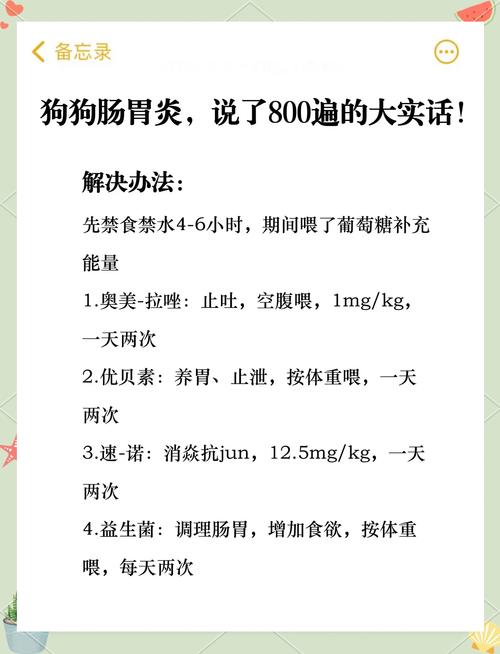 狗狗肠胃炎在家怎么治,狗狗肠胃炎最快的治疗方法?-第2张图片-后鲨宠物 狗狗肠胃炎在家怎么治,狗狗肠胃炎最快的治疗方法?-第2张图片-后鲨宠物
