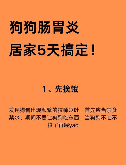 狗狗肠胃炎在家怎么治,狗狗肠胃炎最快的治疗方法?-第4张图片-后鲨宠物 狗狗肠胃炎在家怎么治,狗狗肠胃炎最快的治疗方法?-第4张图片-后鲨宠物
