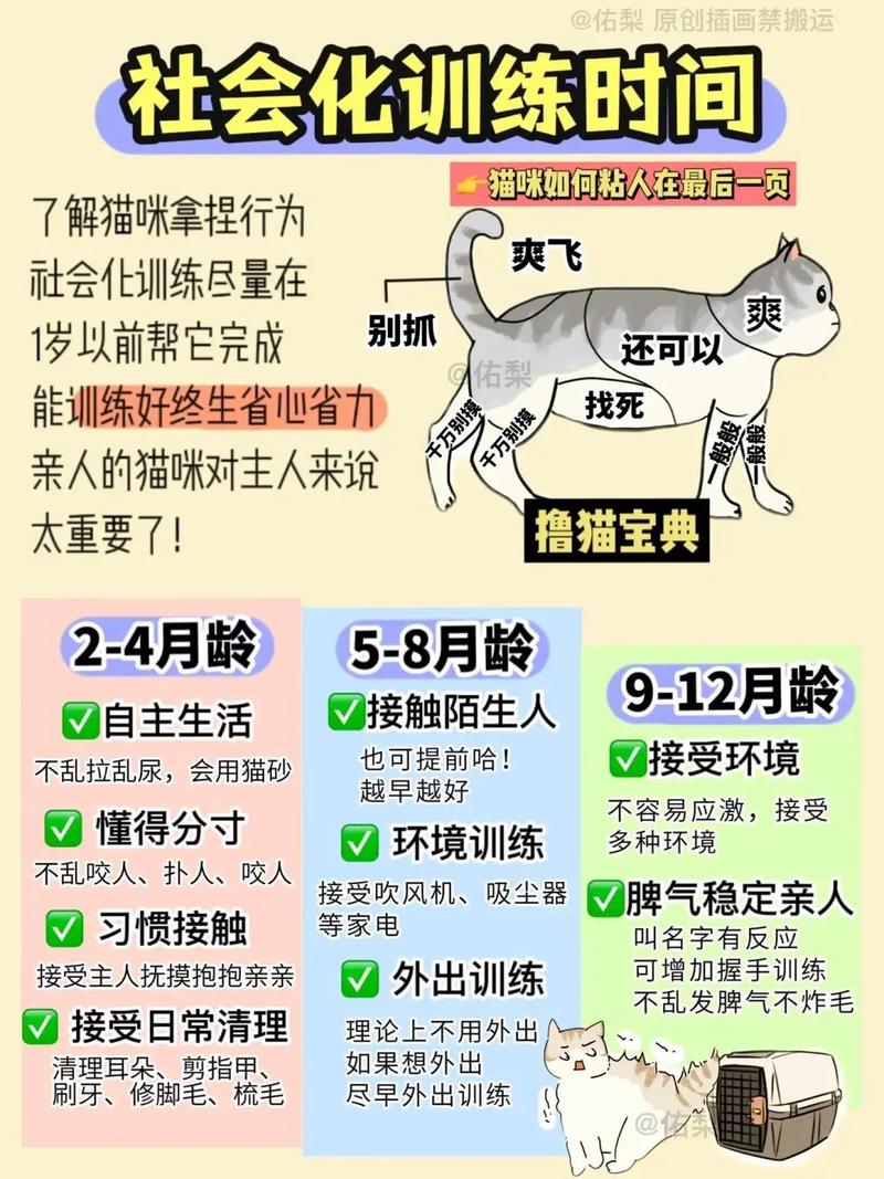 如何训练猫咪上蹲厕,怎样训练猫咪上坐便-第5张图片-后鲨宠物 如何训练猫咪上蹲厕,怎样训练猫咪上坐便-第5张图片-后鲨宠物