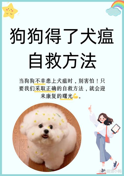 狗狗得了狗瘟怎么治_狗狗得了犬瘟该怎么办-第3张图片-后鲨宠物 狗狗得了狗瘟怎么治_狗狗得了犬瘟该怎么办-第3张图片-后鲨宠物