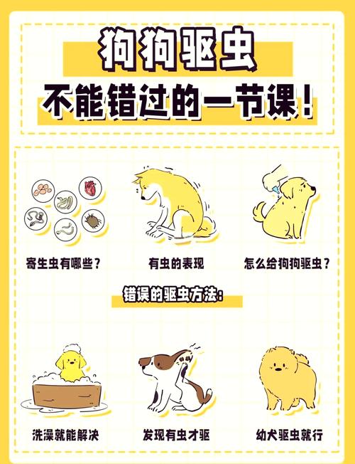 狗狗拉线虫是什么原因,狗狗拉线条虫图片-第4张图片-后鲨宠物 狗狗拉线虫是什么原因,狗狗拉线条虫图片-第4张图片-后鲨宠物