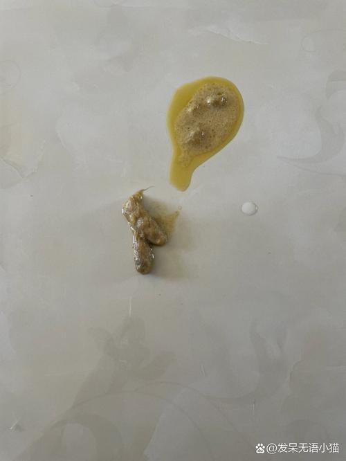 猫咪吐毛球正常吗,猫咪吐毛球该怎么办-第4张图片-后鲨宠物 猫咪吐毛球正常吗,猫咪吐毛球该怎么办-第4张图片-后鲨宠物