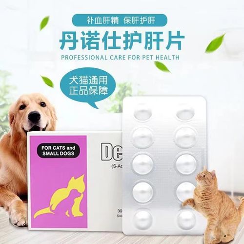 狗狗腹水吃什么药,狗狗腹水吃什么利尿药-第3张图片-后鲨宠物 狗狗腹水吃什么药,狗狗腹水吃什么利尿药-第3张图片-后鲨宠物