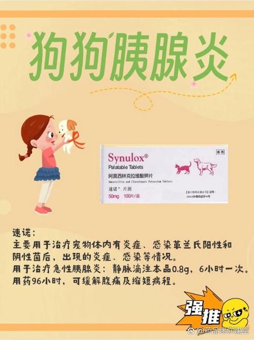 狗狗腹水吃什么药,狗狗腹水吃什么利尿药-第6张图片-后鲨宠物 狗狗腹水吃什么药,狗狗腹水吃什么利尿药-第6张图片-后鲨宠物