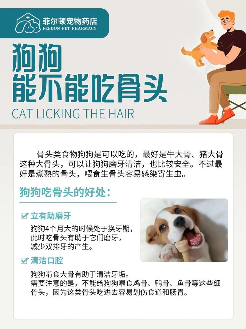 狗狗可以吃骨头吗_狗狗可以吃骨头吗有营养吗-第5张图片-后鲨宠物 狗狗可以吃骨头吗_狗狗可以吃骨头吗有营养吗-第5张图片-后鲨宠物