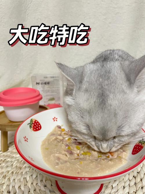 猫咪能吃小米粥吗,猫咪能吃小米粥吗有营养吗-第6张图片-后鲨宠物 猫咪能吃小米粥吗,猫咪能吃小米粥吗有营养吗-第6张图片-后鲨宠物
