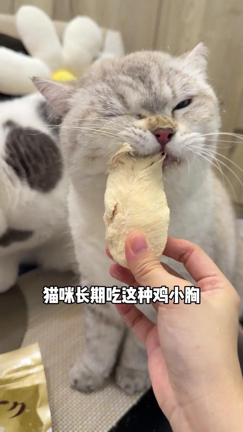 猫咪能吃生鸡肉吗,猫咪能吃生鸡肉吗会中毒吗-第3张图片-后鲨宠物 猫咪能吃生鸡肉吗,猫咪能吃生鸡肉吗会中毒吗-第3张图片-后鲨宠物