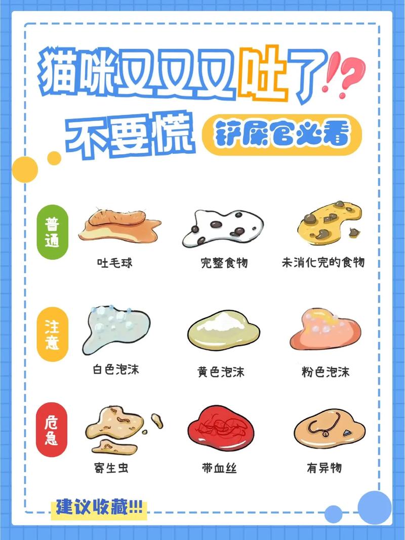 猫咪呕吐不吃饭,猫咪呕吐不吃饭是怎么回事?-第1张图片-后鲨宠物 猫咪呕吐不吃饭,猫咪呕吐不吃饭是怎么回事?-第1张图片-后鲨宠物