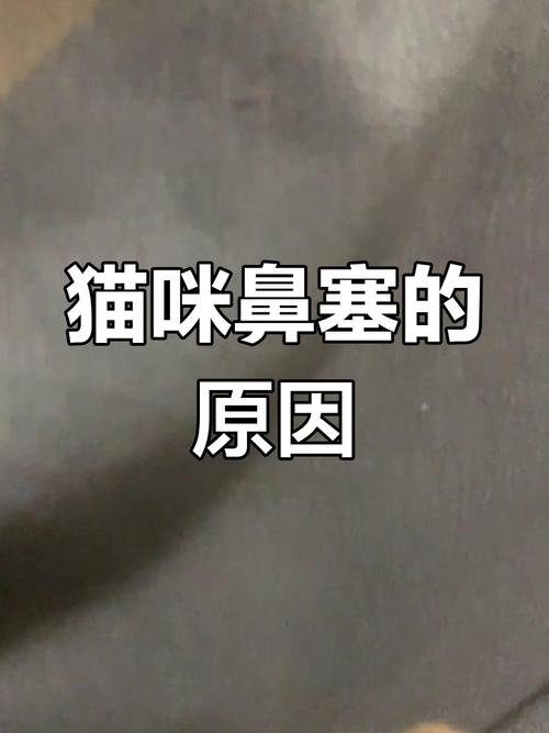 猫咪呼吸声音重像鼻塞_猫咪呼吸声音重像鼻塞能自愈吗-第5张图片-后鲨宠物 猫咪呼吸声音重像鼻塞_猫咪呼吸声音重像鼻塞能自愈吗-第5张图片-后鲨宠物