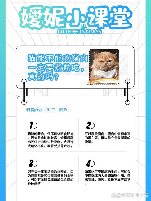猫咪可以吃猪肉吗_猫最爱吃的20种食物-第4张图片-后鲨宠物 猫咪可以吃猪肉吗_猫最爱吃的20种食物-第4张图片-后鲨宠物