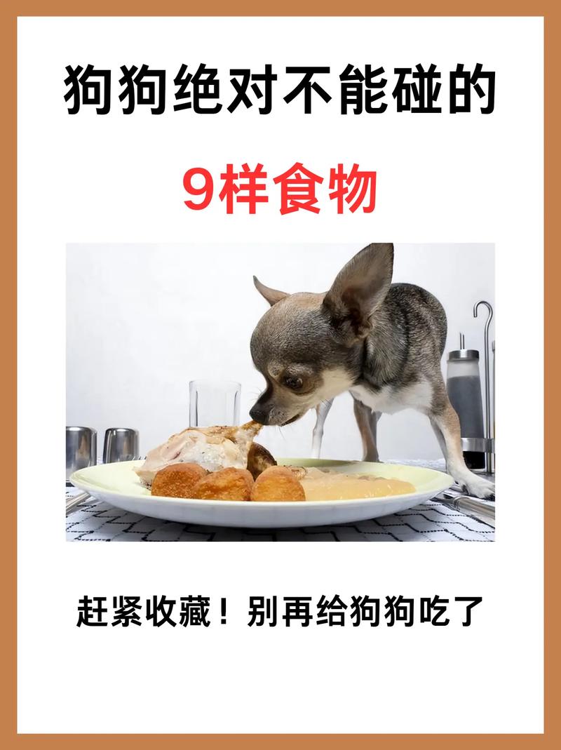 狗狗可以吃热狗吗_宠物狗可以吃热狗吗-第1张图片-后鲨宠物 狗狗可以吃热狗吗_宠物狗可以吃热狗吗-第1张图片-后鲨宠物