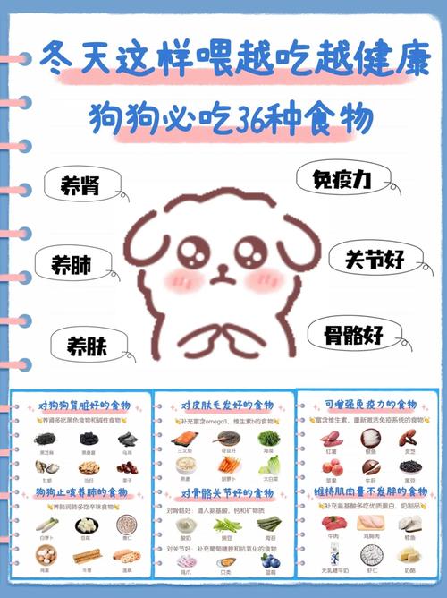 狗狗可以吃热狗吗_宠物狗可以吃热狗吗-第5张图片-后鲨宠物 狗狗可以吃热狗吗_宠物狗可以吃热狗吗-第5张图片-后鲨宠物