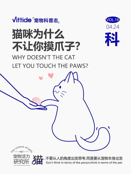 猫咪为什么不让摸爪子,为什么猫咪不让主人摸爪爪-第4张图片-后鲨宠物 猫咪为什么不让摸爪子,为什么猫咪不让主人摸爪爪-第4张图片-后鲨宠物