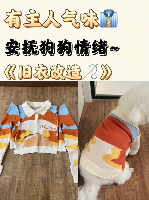 如何给狗狗做衣服,怎样制作狗狗的衣服方法-第2张图片-后鲨宠物 如何给狗狗做衣服,怎样制作狗狗的衣服方法-第2张图片-后鲨宠物