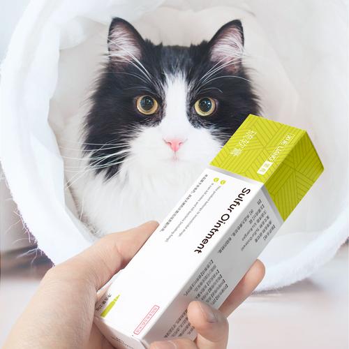 猫咪皮肤溃烂用什么药,猫咪破皮露肉伤口涂什么药?-第1张图片-后鲨宠物 猫咪皮肤溃烂用什么药,猫咪破皮露肉伤口涂什么药?-第1张图片-后鲨宠物