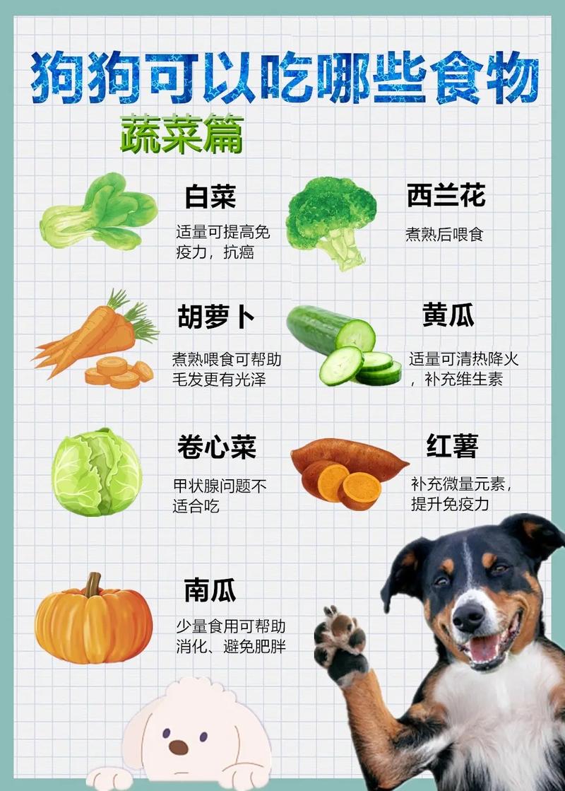 狗狗可以吃菜吗,狗狗可以吃菜嘛?-第4张图片-后鲨宠物 狗狗可以吃菜吗,狗狗可以吃菜嘛?-第4张图片-后鲨宠物