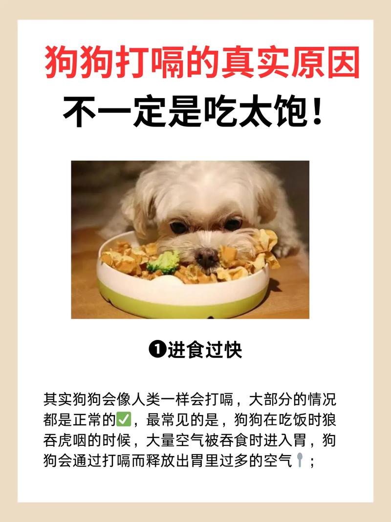 狗狗吃多了不消化怎么办_狗狗吃多了不消化会吐吗-第2张图片-后鲨宠物 狗狗吃多了不消化怎么办_狗狗吃多了不消化会吐吗-第2张图片-后鲨宠物