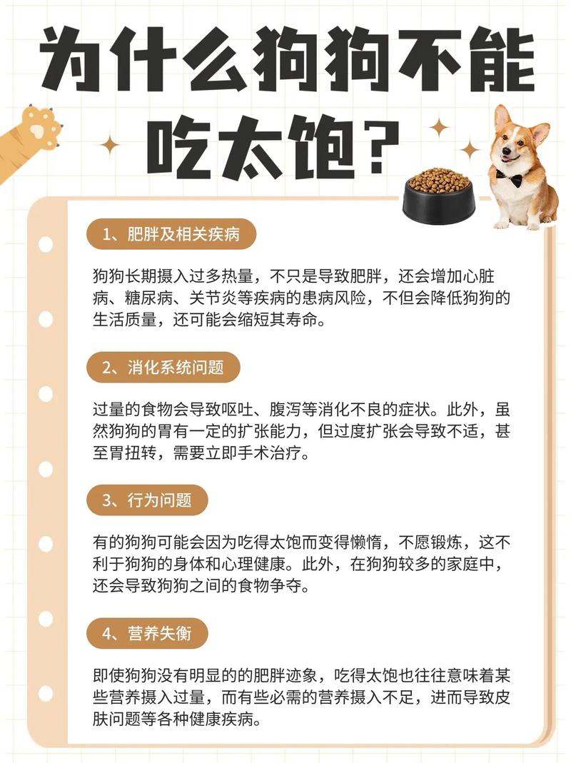狗狗吃多了不消化怎么办_狗狗吃多了不消化会吐吗-第5张图片-后鲨宠物 狗狗吃多了不消化怎么办_狗狗吃多了不消化会吐吗-第5张图片-后鲨宠物