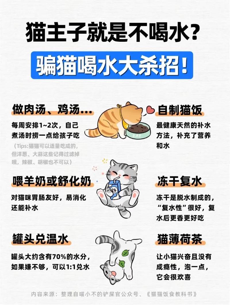 猫咪口渴的表现,猫咪口渴了会喘气么?-第4张图片-后鲨宠物 猫咪口渴的表现,猫咪口渴了会喘气么?-第4张图片-后鲨宠物