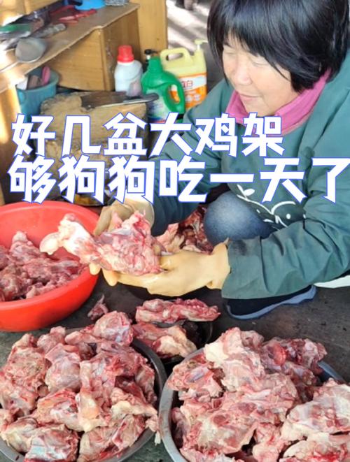 狗狗吃鸡架好不好_狗狗吃鸡架子有什么营养吗-第3张图片-后鲨宠物 狗狗吃鸡架好不好_狗狗吃鸡架子有什么营养吗-第3张图片-后鲨宠物