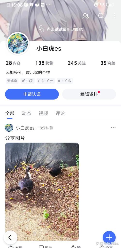 猫猫有灵性吗,猫猫真的有灵性吗-第1张图片-后鲨宠物 猫猫有灵性吗,猫猫真的有灵性吗-第1张图片-后鲨宠物