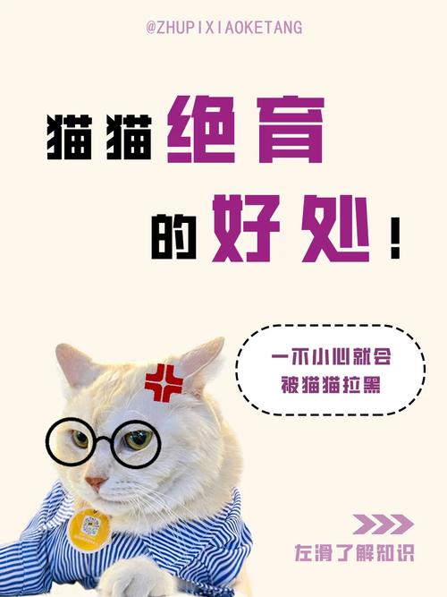 猫咪绝育的好处,猫咪不绝育的危害?-第4张图片-后鲨宠物 猫咪绝育的好处,猫咪不绝育的危害?-第4张图片-后鲨宠物