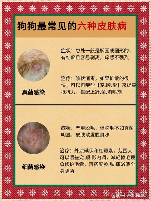 狗狗皮肤病脱毛怎么办_狗狗出现皮肤病脱毛还痒用什么药-第4张图片-后鲨宠物 狗狗皮肤病脱毛怎么办_狗狗出现皮肤病脱毛还痒用什么药-第4张图片-后鲨宠物