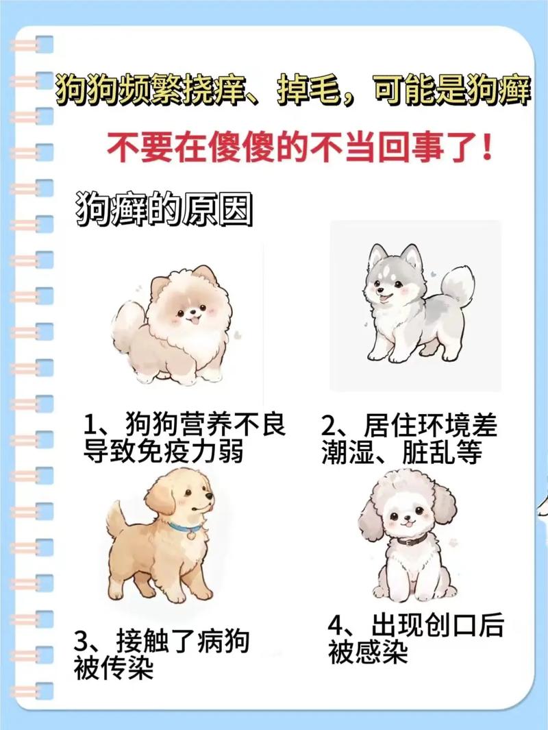 狗狗皮肤病脱毛怎么办_狗狗出现皮肤病脱毛还痒用什么药-第6张图片-后鲨宠物 狗狗皮肤病脱毛怎么办_狗狗出现皮肤病脱毛还痒用什么药-第6张图片-后鲨宠物