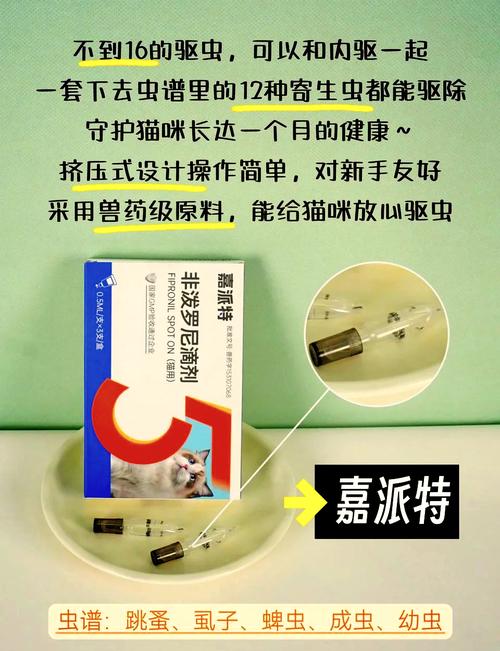 猫咪多久驱虫一次_猫咪多久驱虫一次比较好外驱-第1张图片-后鲨宠物 猫咪多久驱虫一次_猫咪多久驱虫一次比较好外驱-第1张图片-后鲨宠物