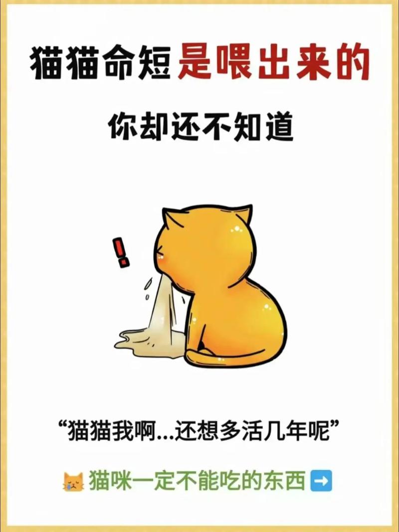  小猫咪不吃饭怎么办，小猫不吃饭是怎么回事儿?-第3张图片-后鲨宠物