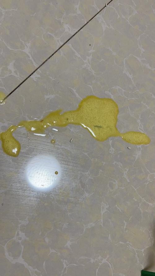 猫咪拉稀吐黄水,猫咪拉稀吐黄水 食欲不振-第1张图片-后鲨宠物 猫咪拉稀吐黄水,猫咪拉稀吐黄水 食欲不振-第1张图片-后鲨宠物