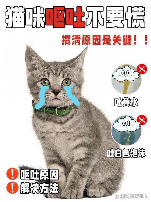 猫咪拉稀吐黄水,猫咪拉稀吐黄水 食欲不振-第4张图片-后鲨宠物 猫咪拉稀吐黄水,猫咪拉稀吐黄水 食欲不振-第4张图片-后鲨宠物