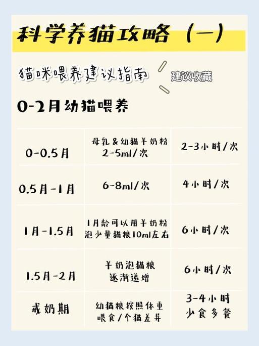 小猫咪多久可以吃猫粮_小猫多久能吃粮-第1张图片-后鲨宠物 小猫咪多久可以吃猫粮_小猫多久能吃粮-第1张图片-后鲨宠物