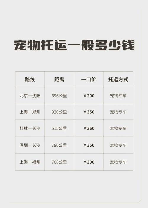 猫咪能上高铁吗_宠物猫能带上高铁吗-第4张图片-后鲨宠物 猫咪能上高铁吗_宠物猫能带上高铁吗-第4张图片-后鲨宠物