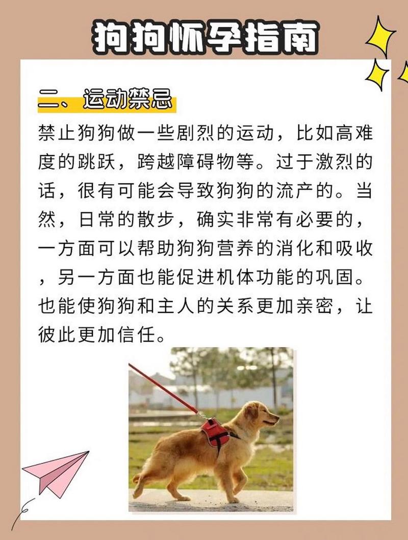 孕期养狗狗注意事项,孕期养狗狗注意事项有哪些-第2张图片-后鲨宠物 孕期养狗狗注意事项,孕期养狗狗注意事项有哪些-第2张图片-后鲨宠物