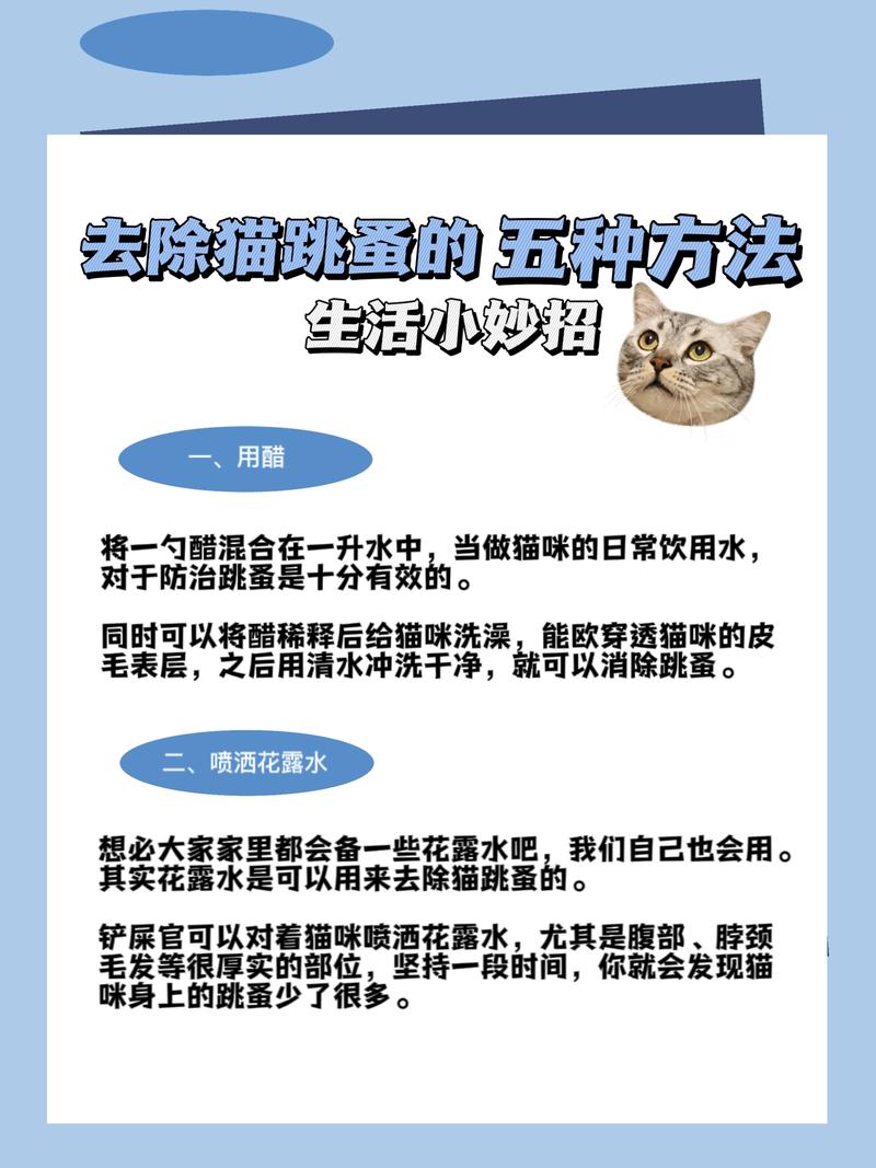 猫咪身上有跳蚤怎么办,猫咪长跳蚤了怎么快速清除?-第1张图片-后鲨宠物 猫咪身上有跳蚤怎么办,猫咪长跳蚤了怎么快速清除?-第1张图片-后鲨宠物