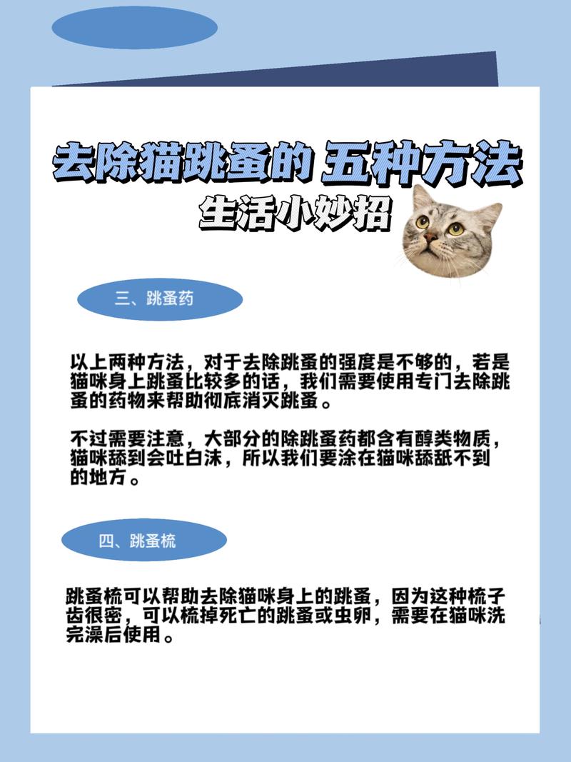 猫咪身上有跳蚤怎么办,猫咪长跳蚤了怎么快速清除?-第3张图片-后鲨宠物 猫咪身上有跳蚤怎么办,猫咪长跳蚤了怎么快速清除?-第3张图片-后鲨宠物