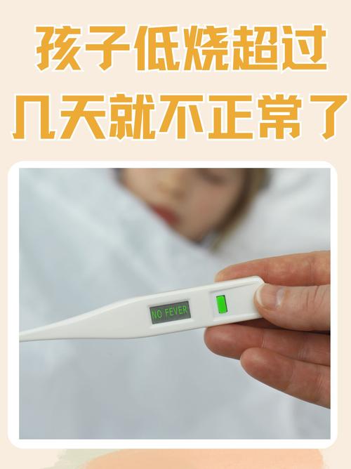 狗狗低烧是多少度,狗狗发低烧是犬瘟吗-第1张图片-后鲨宠物 狗狗低烧是多少度,狗狗发低烧是犬瘟吗-第1张图片-后鲨宠物