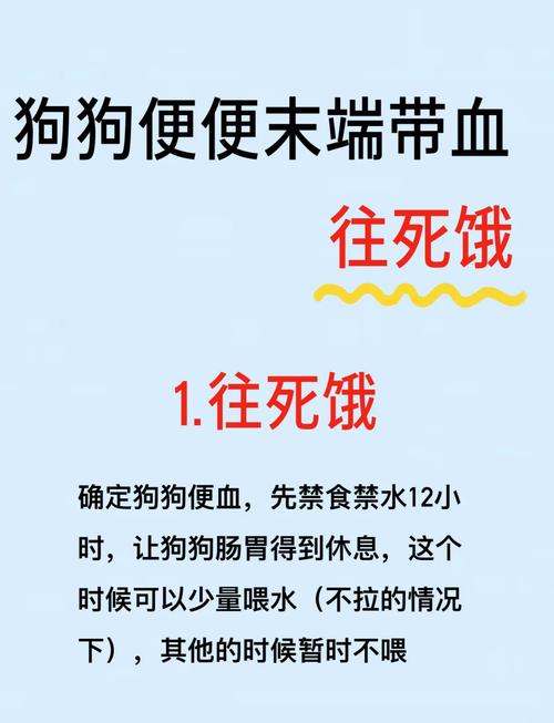 狗狗肠炎拉血怎么办,狗狗肠炎拉血怎么办 吃什么药-第3张图片-后鲨宠物 狗狗肠炎拉血怎么办,狗狗肠炎拉血怎么办 吃什么药-第3张图片-后鲨宠物