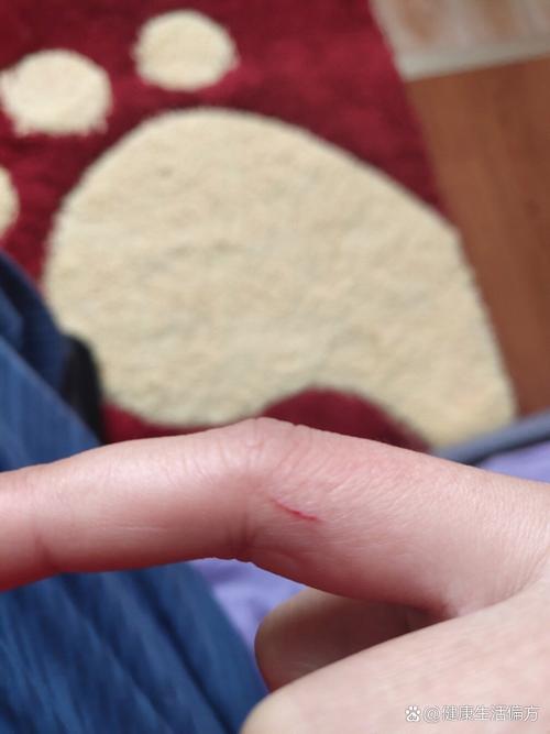 狗狗掉牙齿怎么处理_狗狗掉牙齿是怎么回事-第4张图片-后鲨宠物 狗狗掉牙齿怎么处理_狗狗掉牙齿是怎么回事-第4张图片-后鲨宠物